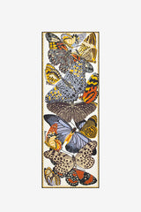 PAPILLONS WOOL SCARF